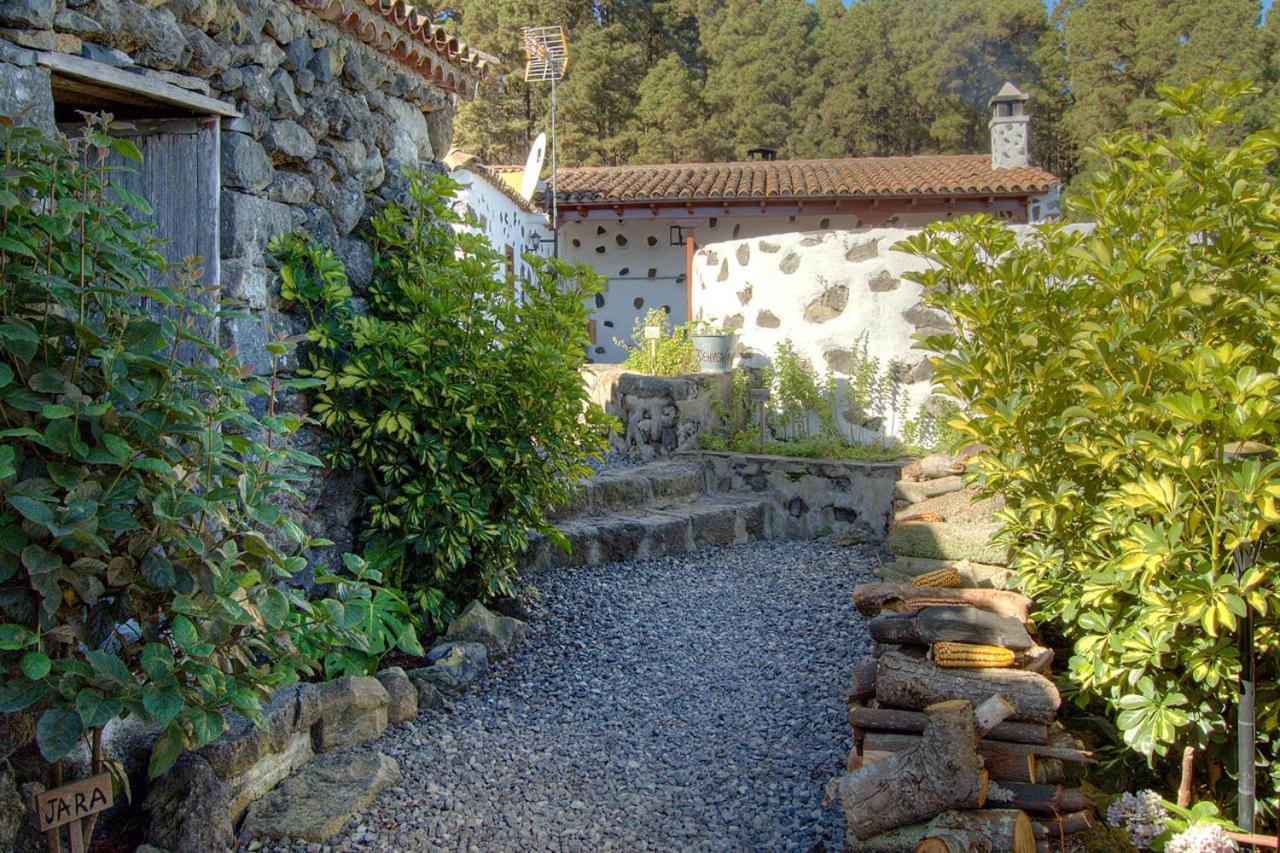 Holidaynorthtenerife Casa Rural Montiel Icod De Los Vinos Exterior photo