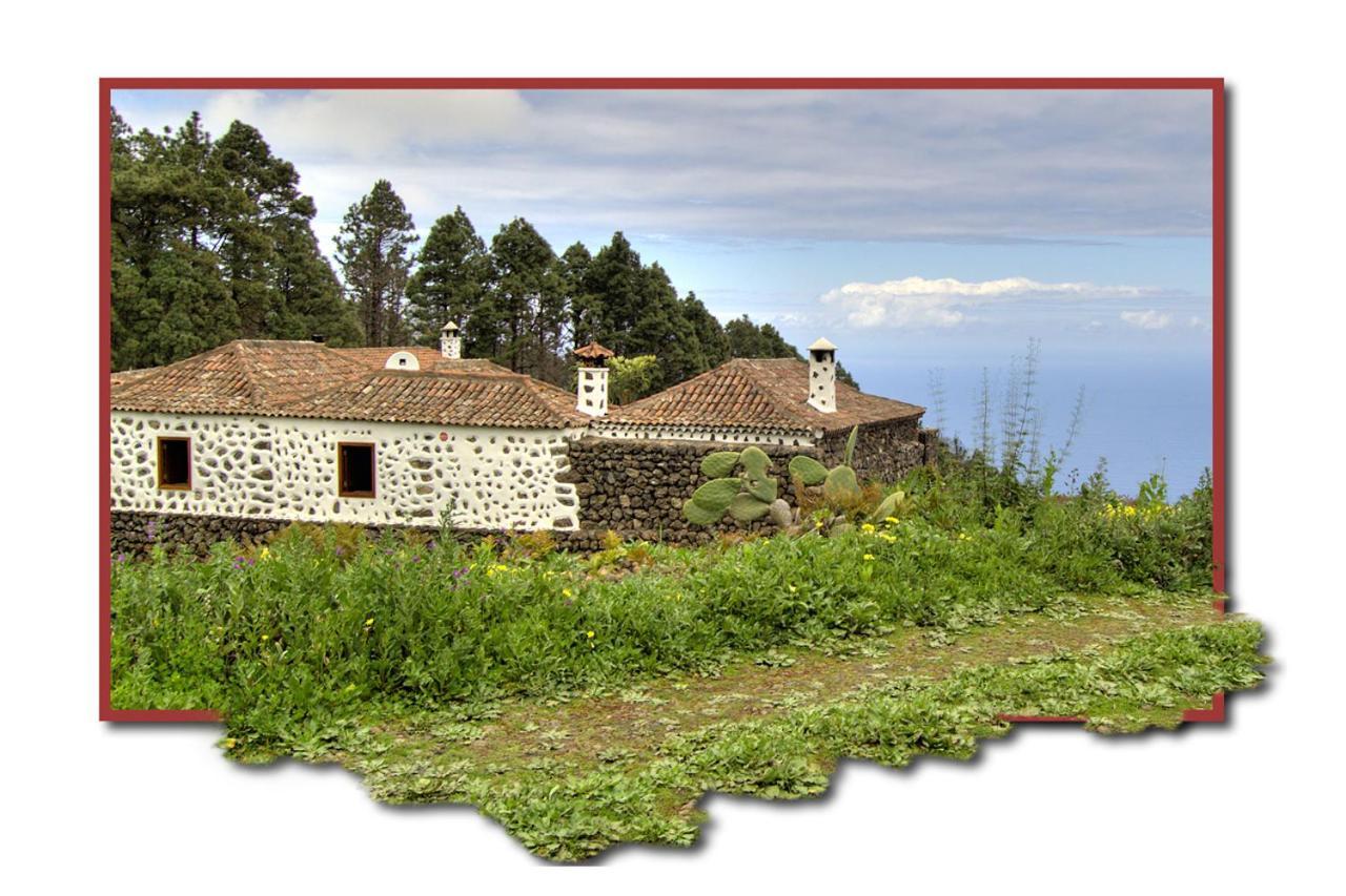 Holidaynorthtenerife Casa Rural Montiel Icod De Los Vinos Exterior photo